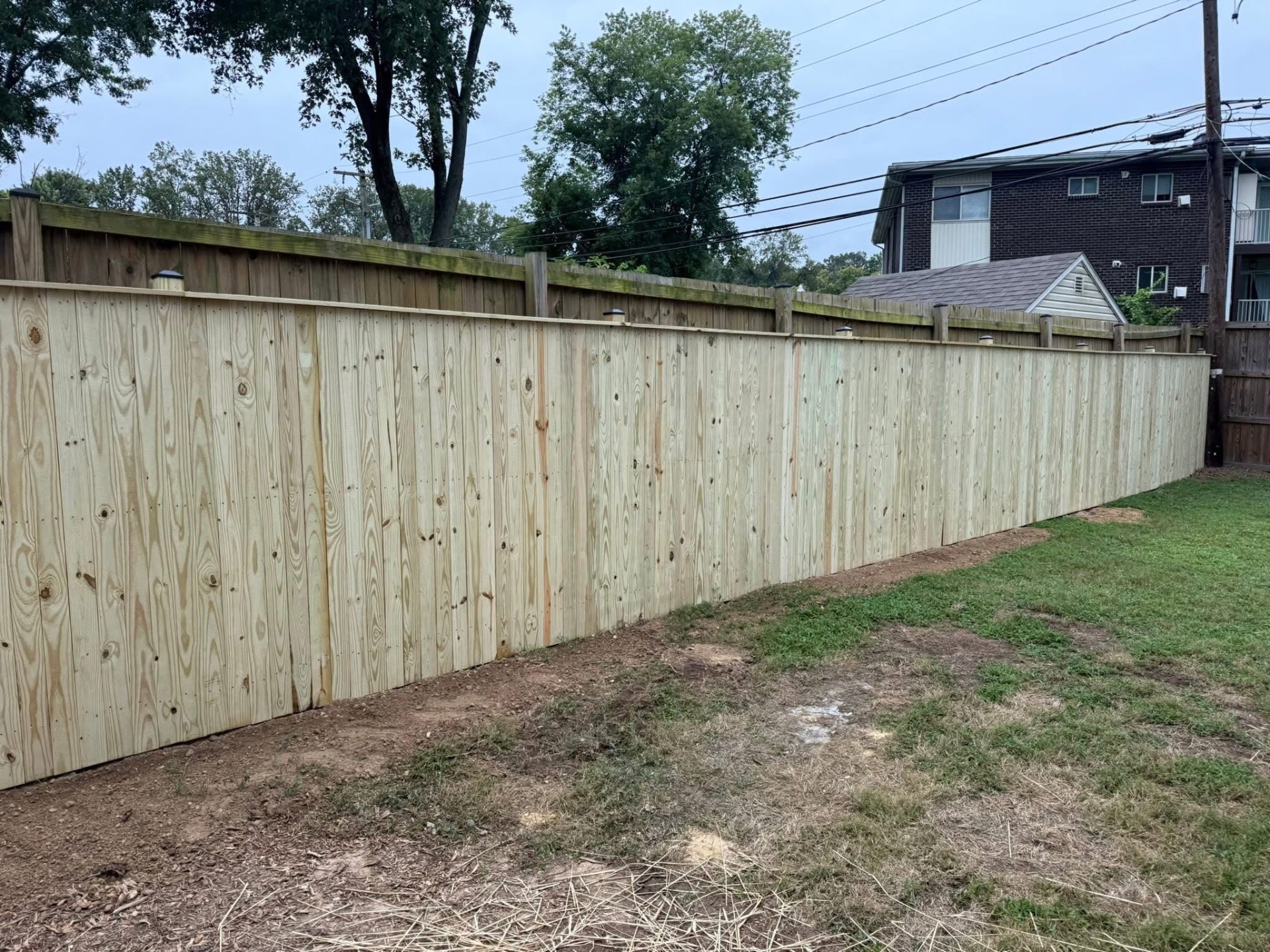 Tall PT wood privacy fence with post caps
